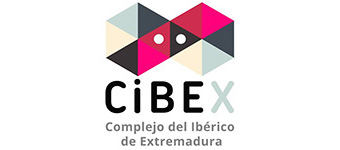 Cibex